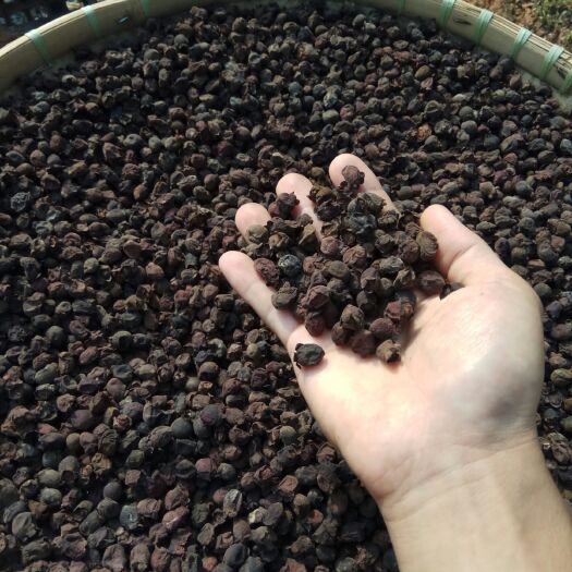 灵山县桃金娘苗 0.5~1米 