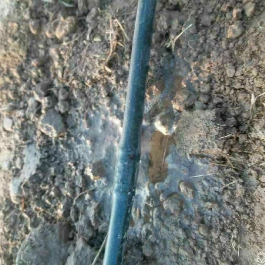 菏泽滴灌管