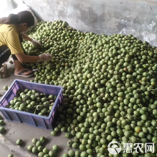 脱皮鲜核桃核