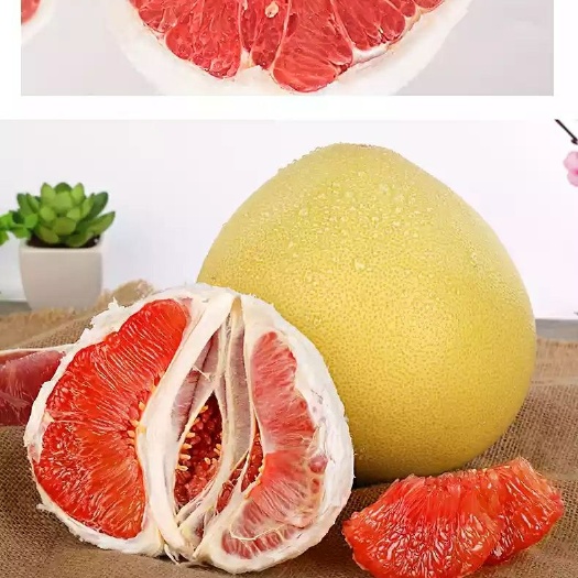 平和县红心柚 红心蜜柚