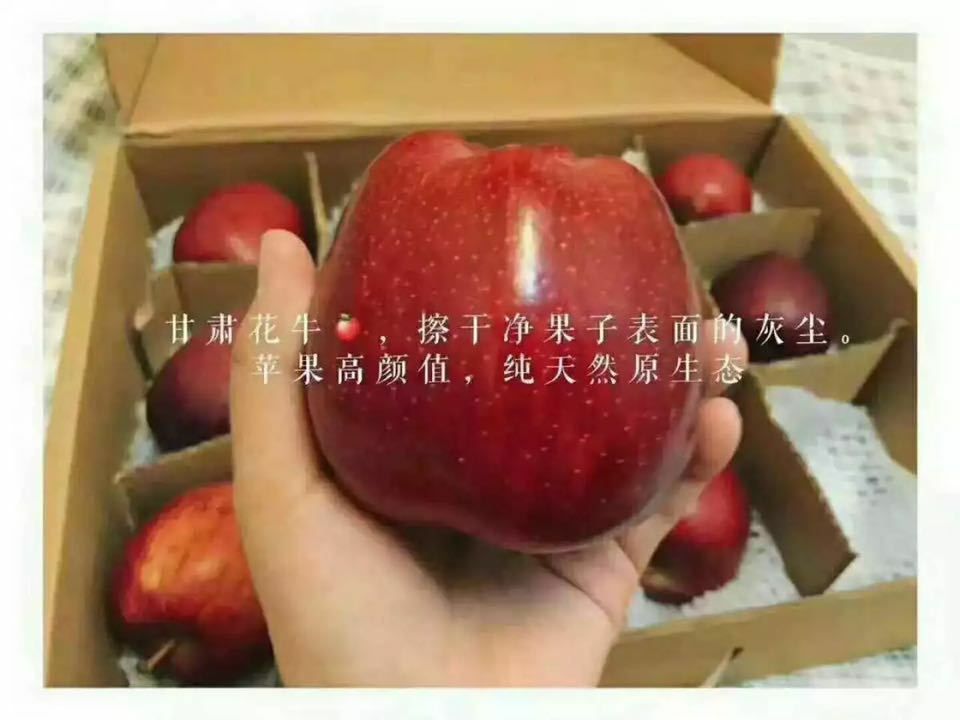 甘肃天水花牛苹果 产地直发 新鲜水果 坏果包赔 包邮
