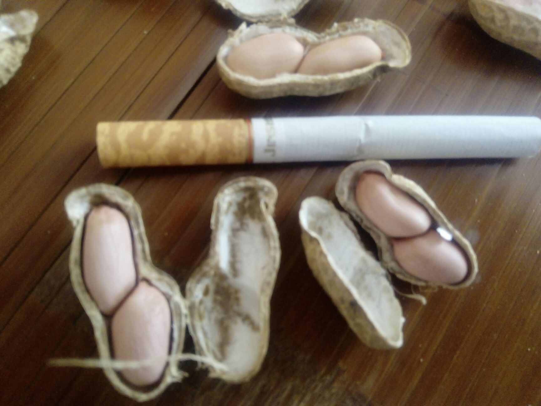 鲜花生 干货 带壳花生 