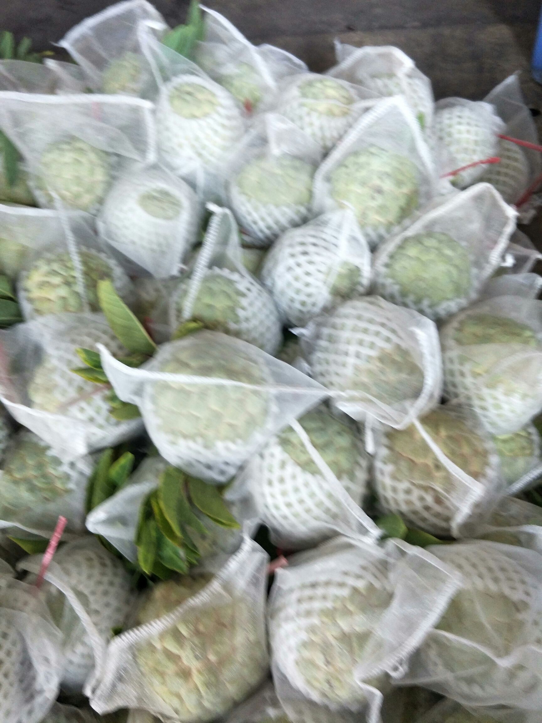 释迦果  番荔枝潮汕称为林檎，是水果**