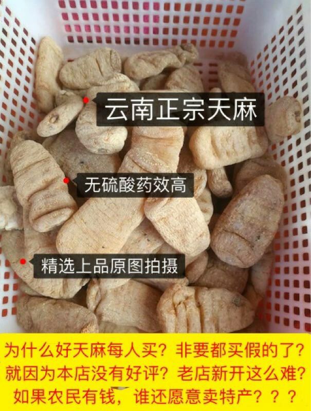 天麻 