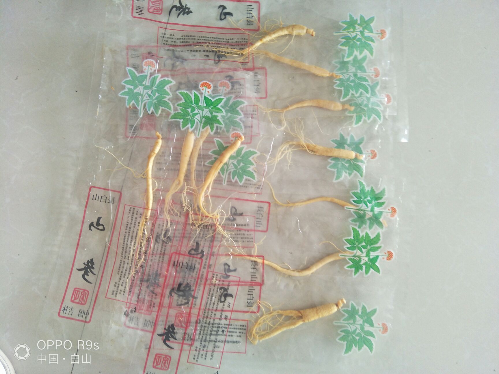 长白山人参，园参，鲜人参