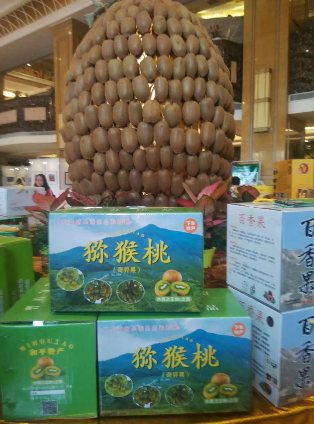 徐香猕猴桃 广东省河源市和平县 高次果