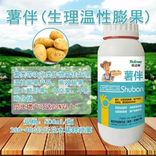 南京薯伴