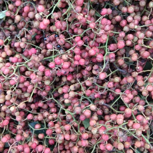济南山东花椒 干花椒 一级 