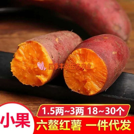 六鳌地瓜  福建六鳌红心小蜜薯