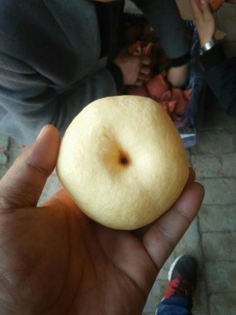 陕西酥梨产地价格批发