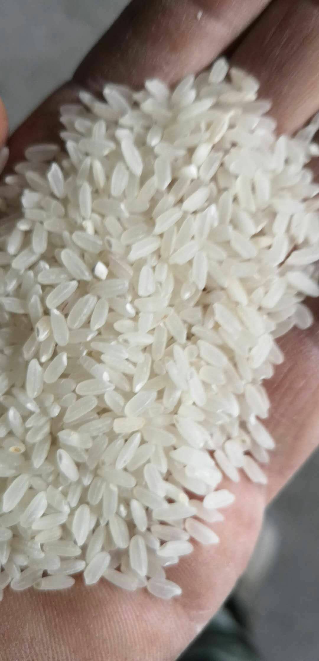 舒兰大米 绿色食品 晚稻 一等品