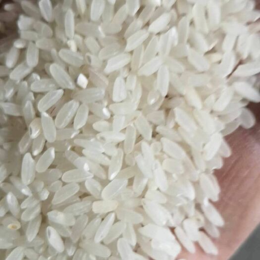 吉林市舒兰大米 绿色食品 晚稻 一等品
