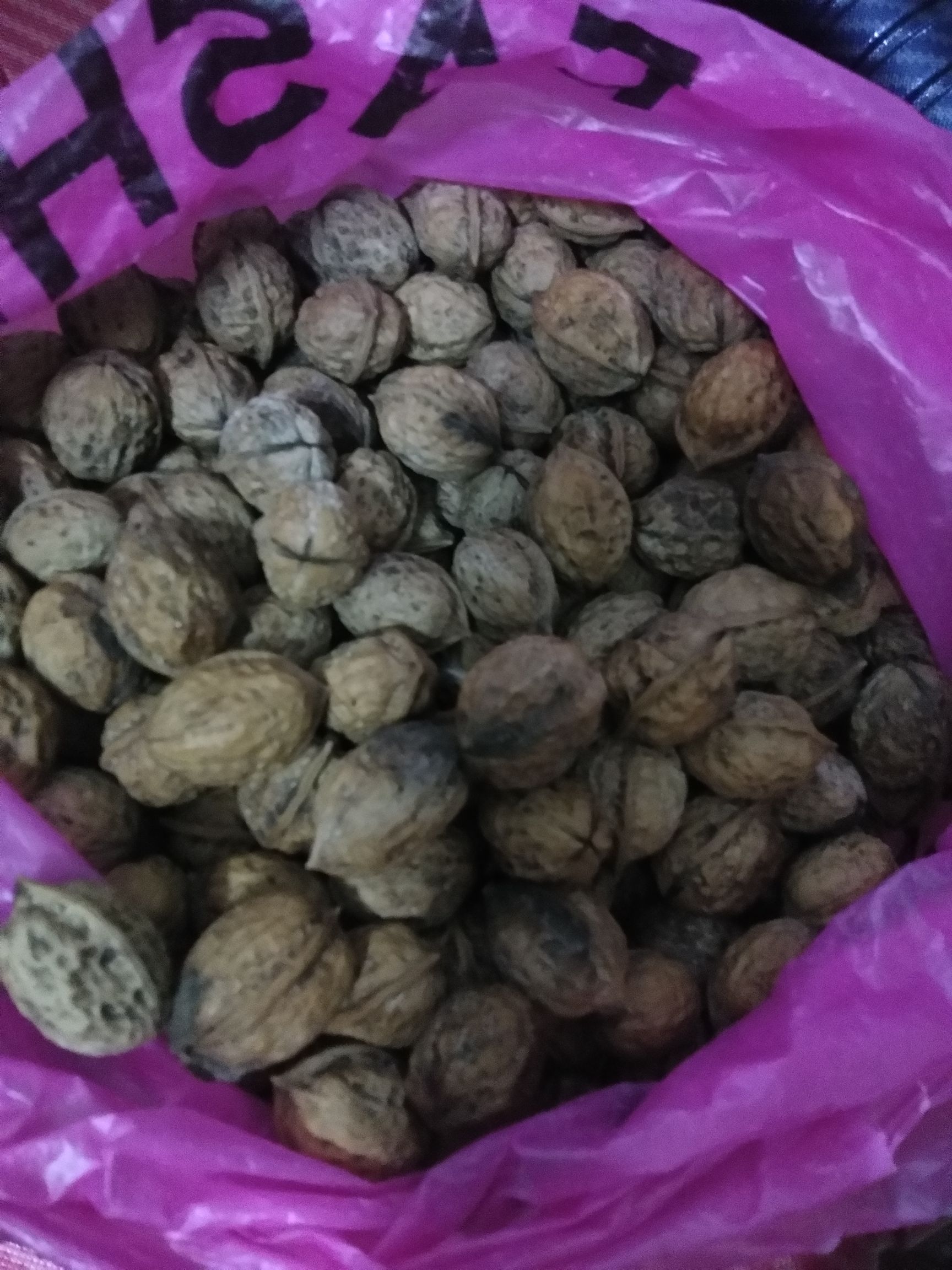 薄皮核桃 