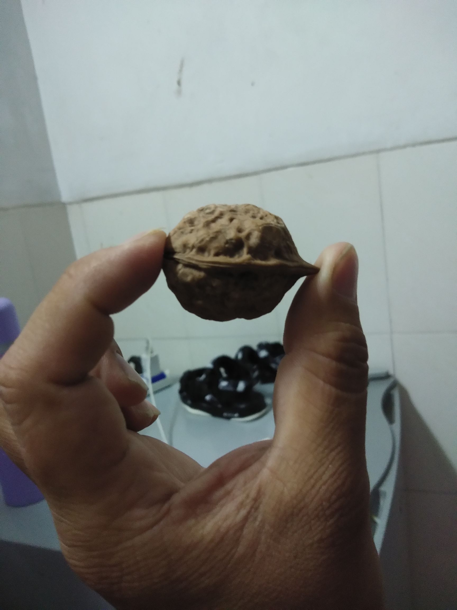 薄皮核桃 