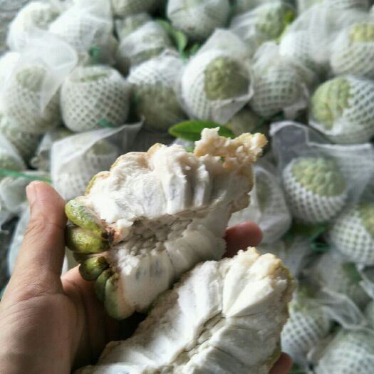 汕头潮汕林檎 550-650g