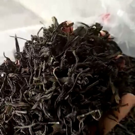 饶平县单丛茶  鸭屎香 茶叶