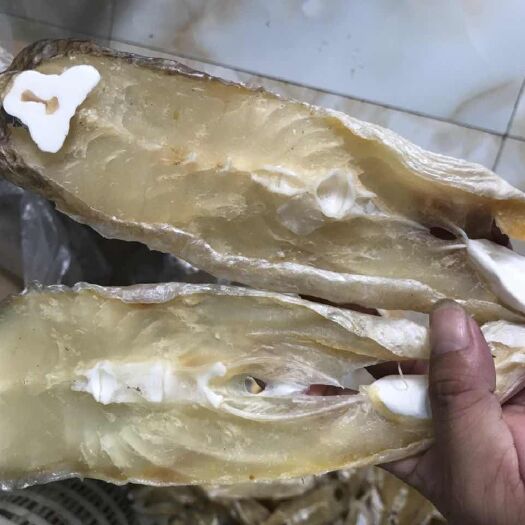 北海鱼干类