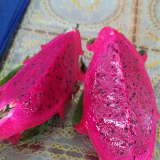 东兴市红皮白肉火龙果 中（5-7两）