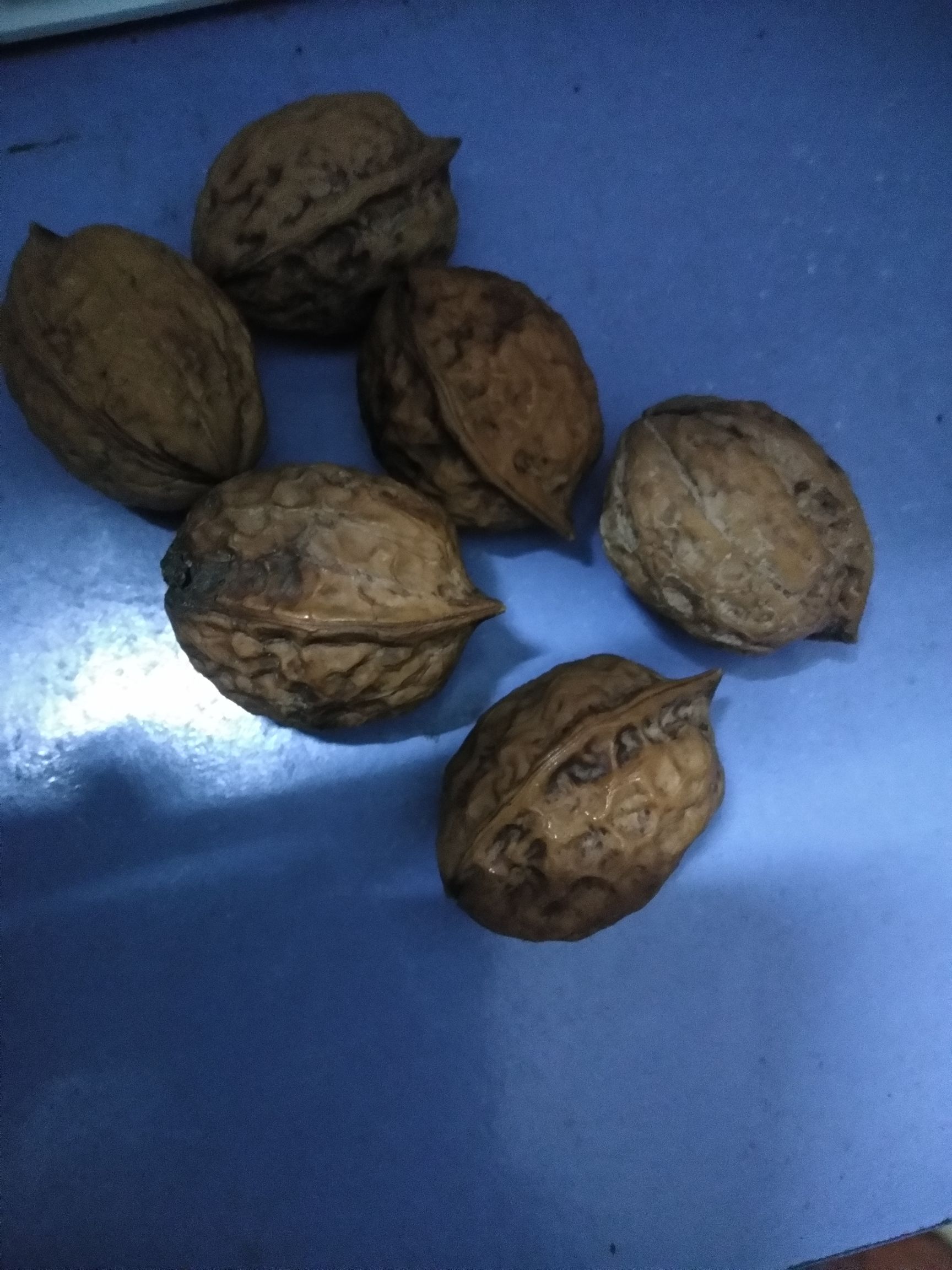 薄皮核桃 