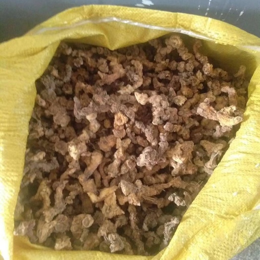 樟树市黄精 