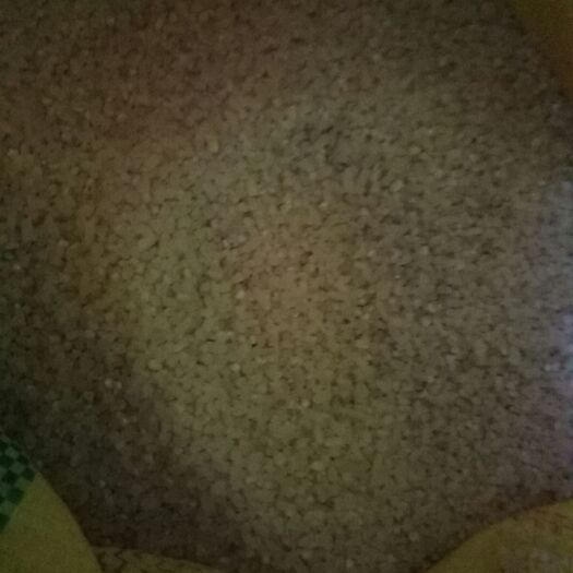 平远县糙米 口感好，晚造深优。