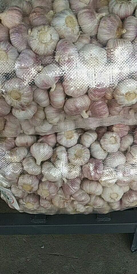 金乡县红皮蒜  金乡大蒜 混级统货 多瓣蒜