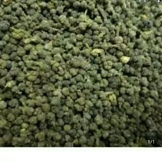 洞口县吴茱萸
