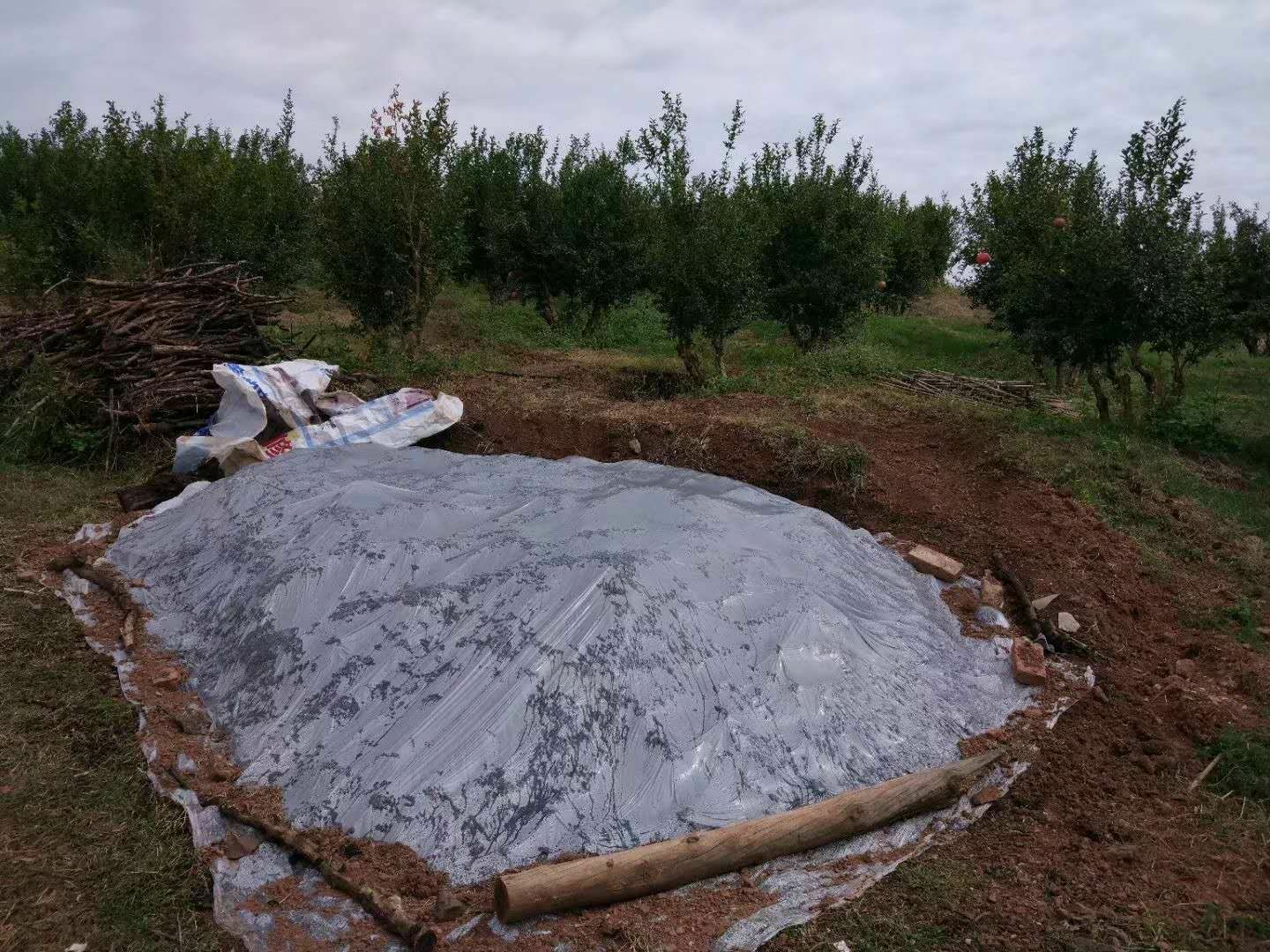 禽畜粪