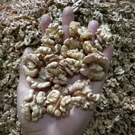 汾阳市 老叔树核桃仁尖白仁