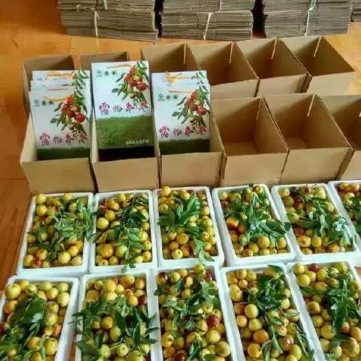 滨州沾化冬枣 拐二 10-20g