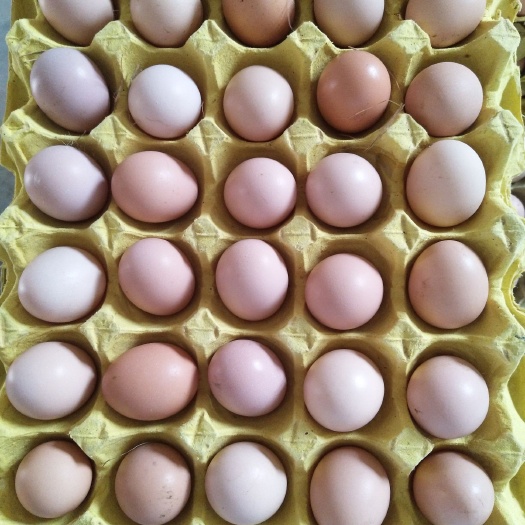 枞阳县土鸡蛋 食用 箱装