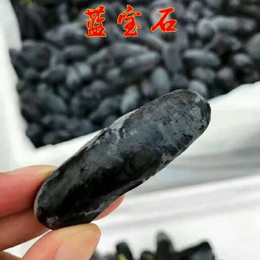 泰安 甜蜜特蓝宝石葡萄苗，浪漫红颜葡萄苗批发，现挖现卖多卖多赠