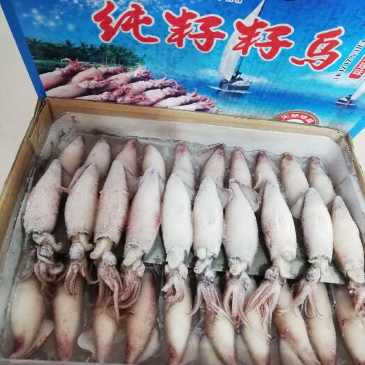 连云港冰冻全籽籽乌 