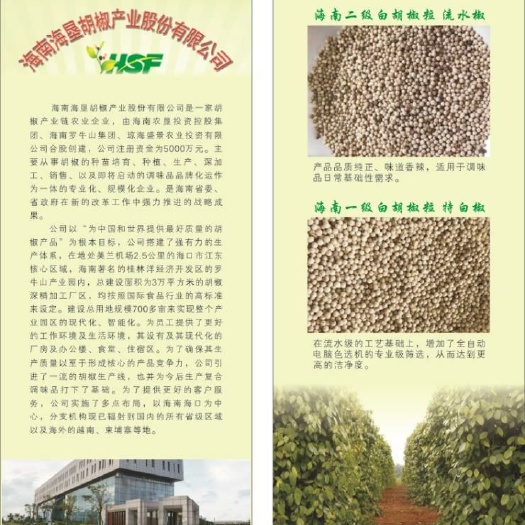 琼海白胡椒