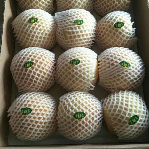 南阳黄金梨 400-450g 70mm以上