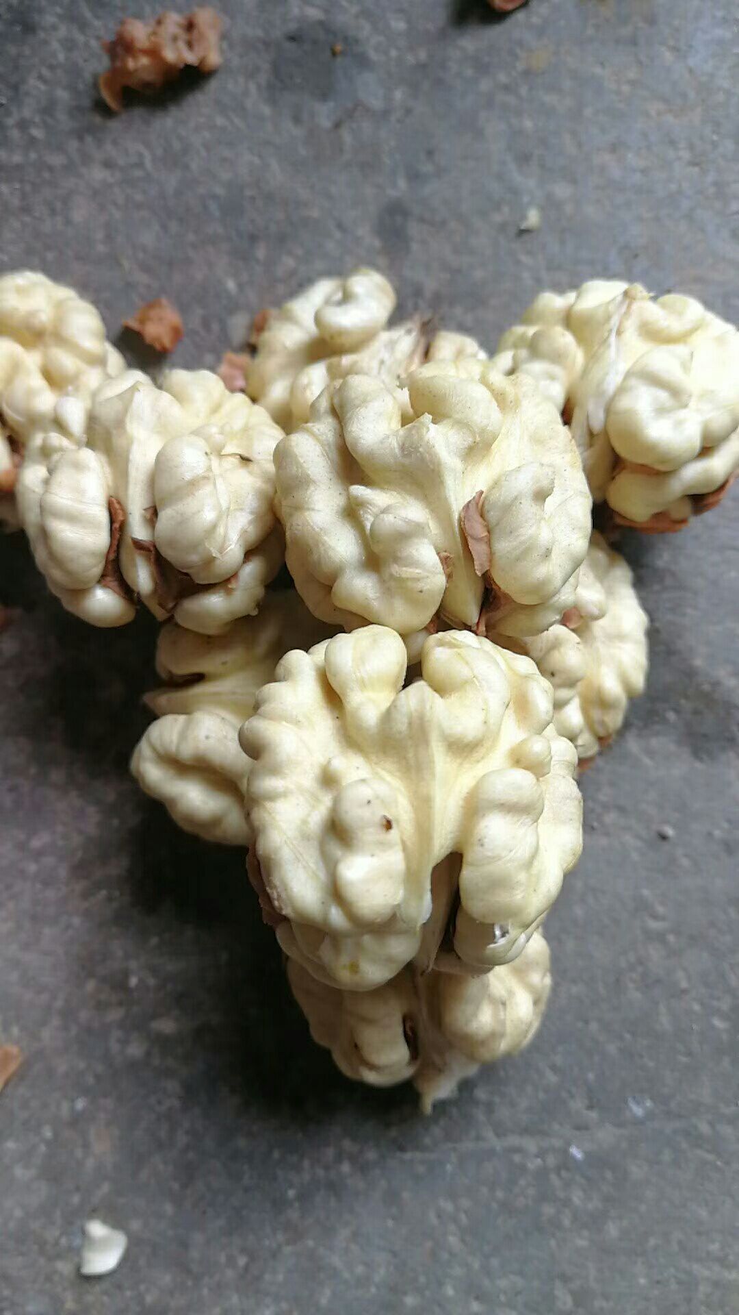 薄皮核桃