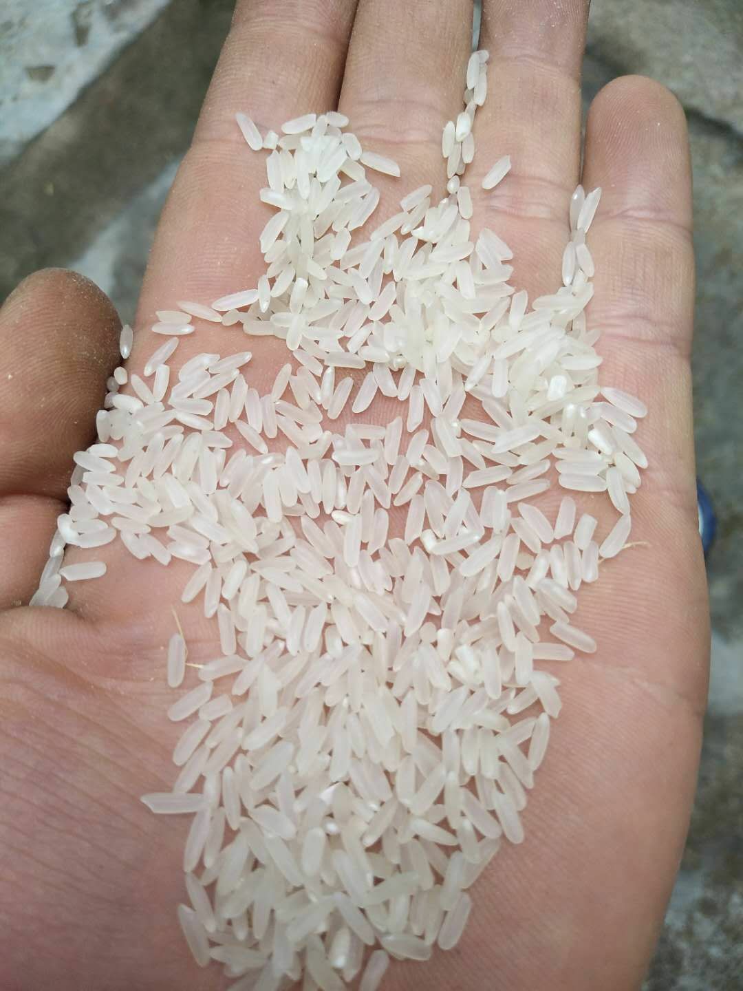优质稻 湖北省荆门市东宝区 中晚籼黄花粘稻谷等
