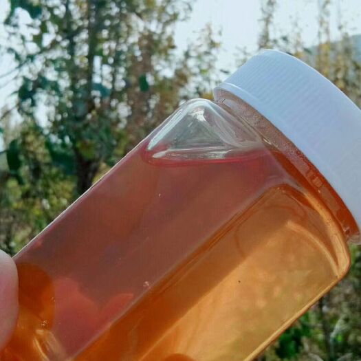 蒙阴县百花蜜多种花，含有丹参花石竹花，美容养蜂蜜