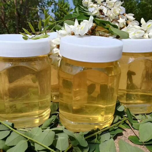 蒙阴县洋槐蜂蜜 塑料瓶装  2年以上  槐花蜜