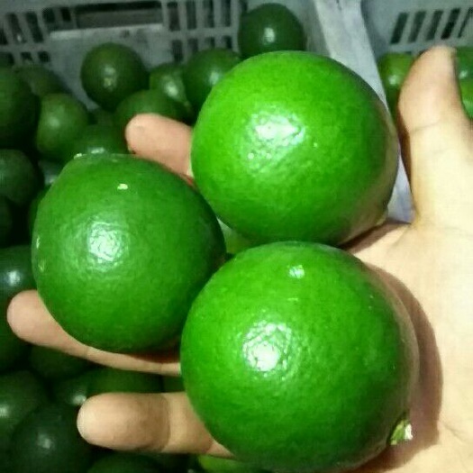 重庆市青柠檬 产地直供，物美价廉
