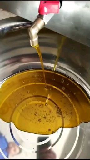 石家庄压榨菜籽油 