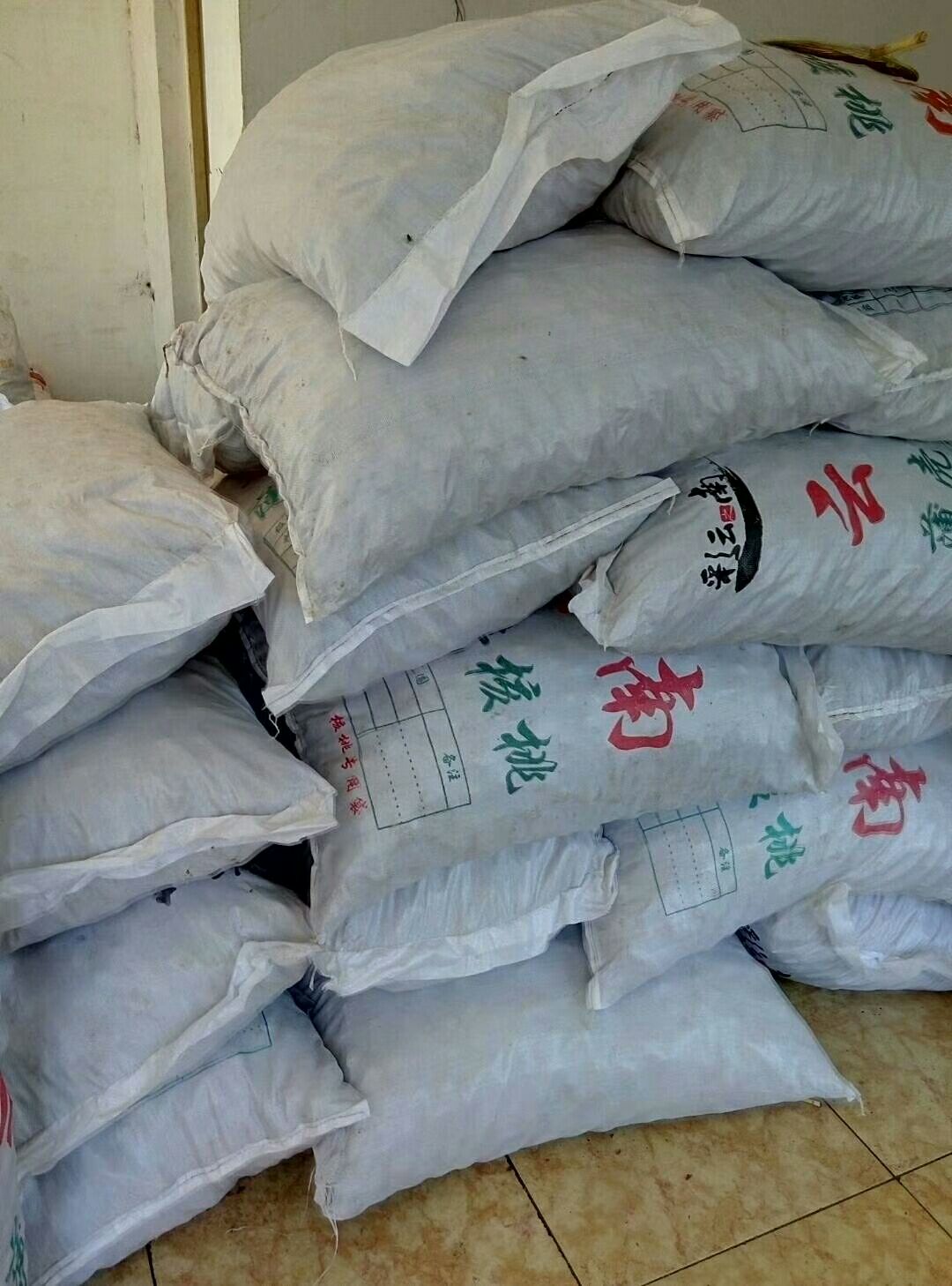云南核桃 