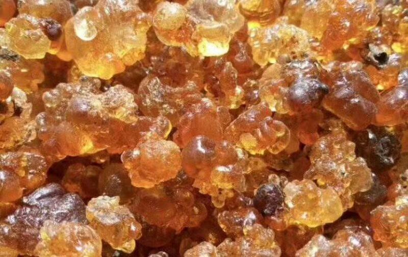 资兴市野生桃胶 6-12个月 