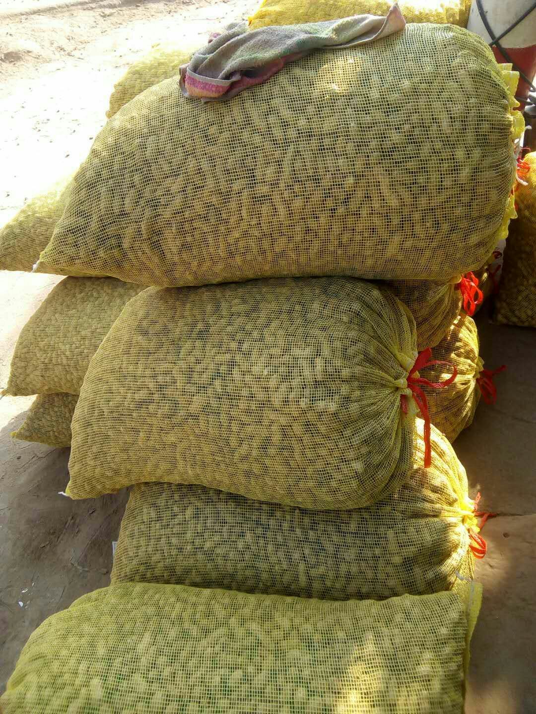 鲜花生 产地直销，过筛手选，保质保量！欢迎洽谈订购！