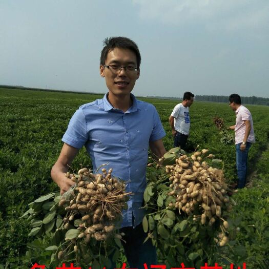 安丘市花生种子 