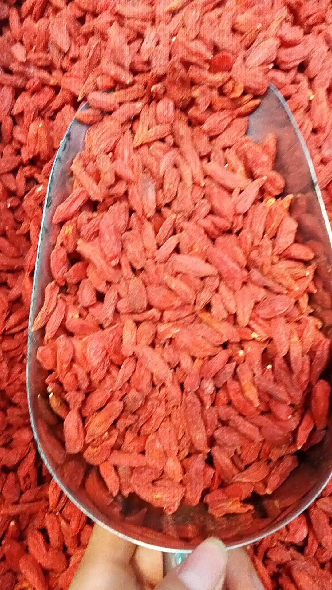 红枸杞 特级