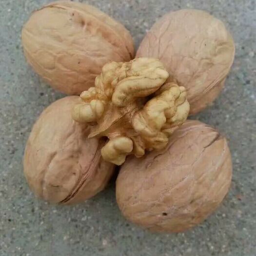  香玲核桃，皮薄