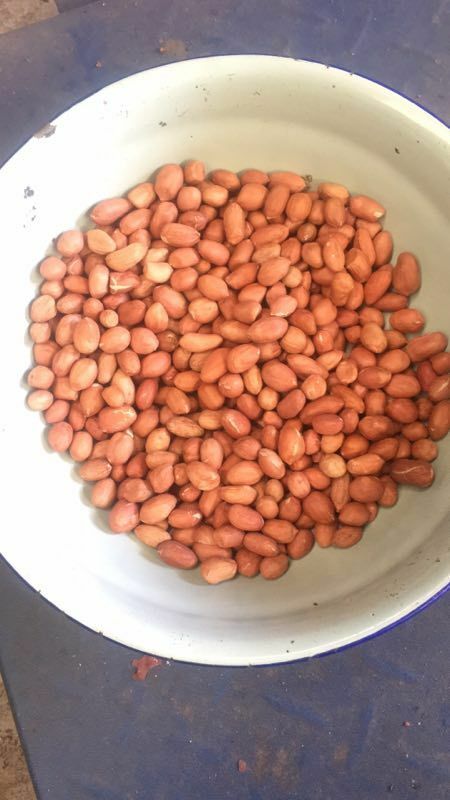 孟州市白沙系列花生 干货 花生米8个筛精选