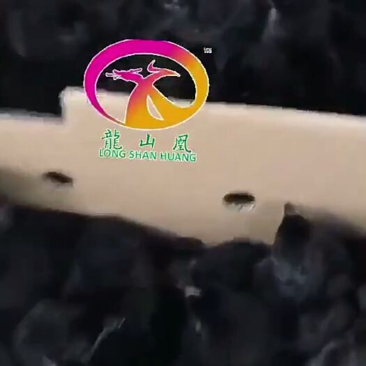 无极县绿壳蛋鸡苗 