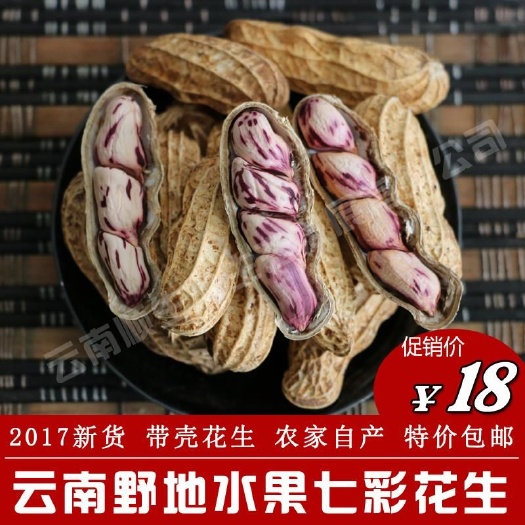 保山带壳花生 干货 带壳花生